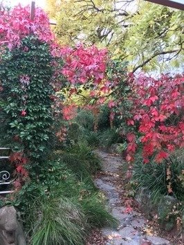 a780fc82ea9ffdfb26c78cbb7beb4d50be1807f4